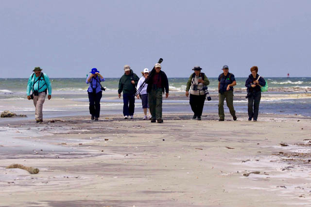 MCAS birders at Ship Island – photo by Sheila Murphy